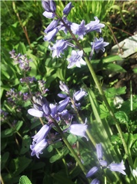 543ae106-Picture 008.jpg